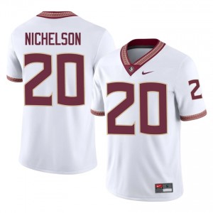Blake Nichelson #20 Seminoles Jersey | Gameday White College Football Men Stitched 70204764
