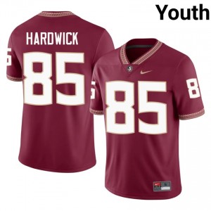 Drew Hardwick #85 Florida State Seminoles Jersey | Alumni Garnet Player Football Youth Embroidery 70163258
