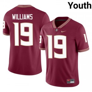 Garnet Darryon Williams #19 Seminoles Jersey | Youth NCAA Football Essential Embroidery 71465730