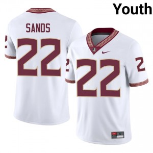 #22 Gemari Sands FSU White Jersey | Iconic Stitched Youth College Football Gear 58202645