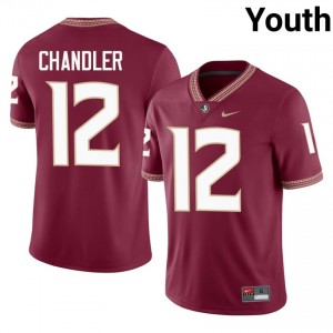 Garnet Nehemiah Chandler #12 Seminoles Jersey | Youth University Football Top-Tier Embroidery 33996279